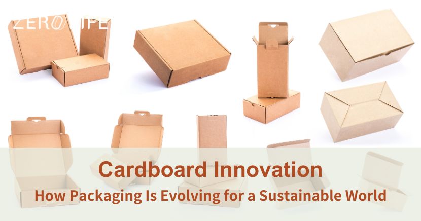 Cardboard Innovation Sustainable Packaging
