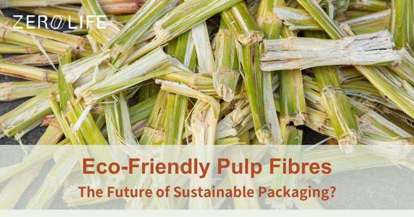 Eco Friendly Pulp Fibres Sustainable Future