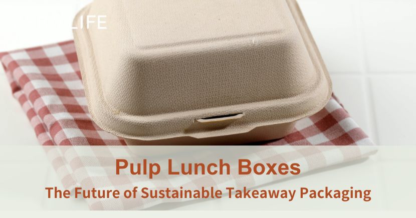 I’ll admit it—there’s something inherently satisfying about discovering a product that not only solves a problem but also benefits the environment. Over the years, I found myself increasingly concerned about the piles of plastic waste generated by single-use takeaway containers. It’s a growing global issue, but thankfully, there’s hope. Pulp lunch boxes, made from plant fibers, are emerging as a sustainable alternative to conventional plastic and Styrofoam packaging. They’re innovative, functional, and could truly help us curb our environmental footprint.