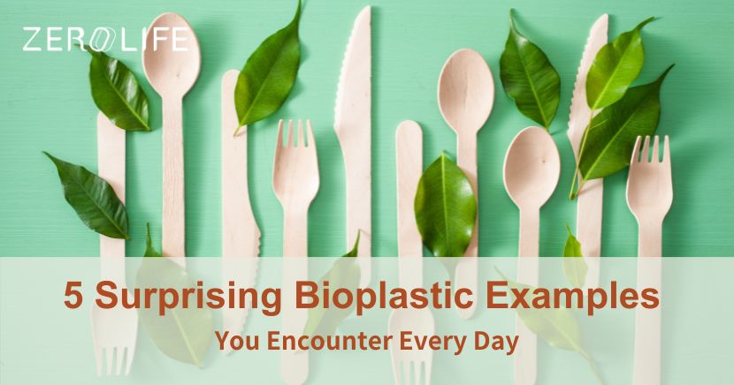 Bioplastic examples daily life surprises